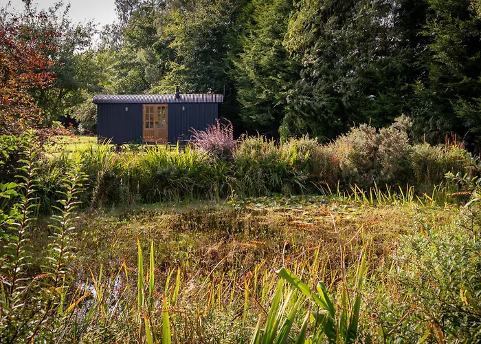 Peatlands Retreat, Causeway Coast